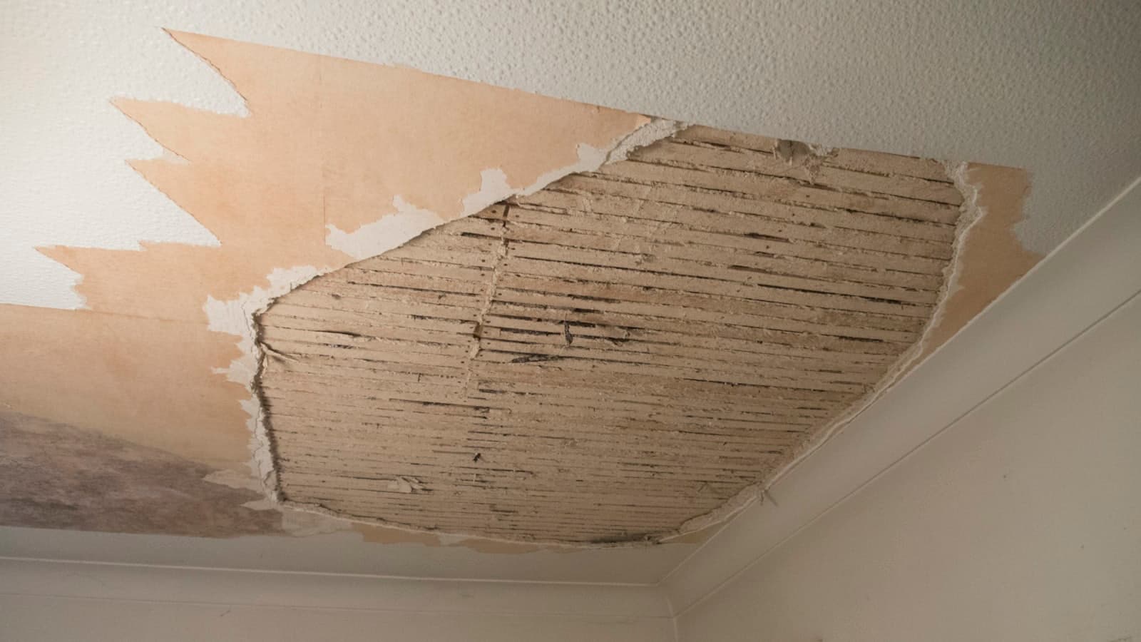 Plafond in een woonkamer waar het stucwerk door een daklekkage is losgeraakt en het latwerk eronder zichtbaar is