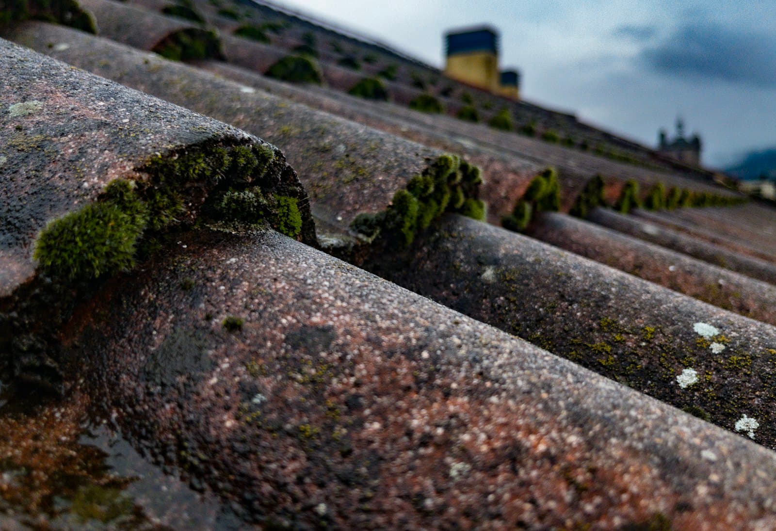 Close-up van een pannendak waar mos in de overlappingen tussen de dakpannen groeit, onder een bewolkte hemel
