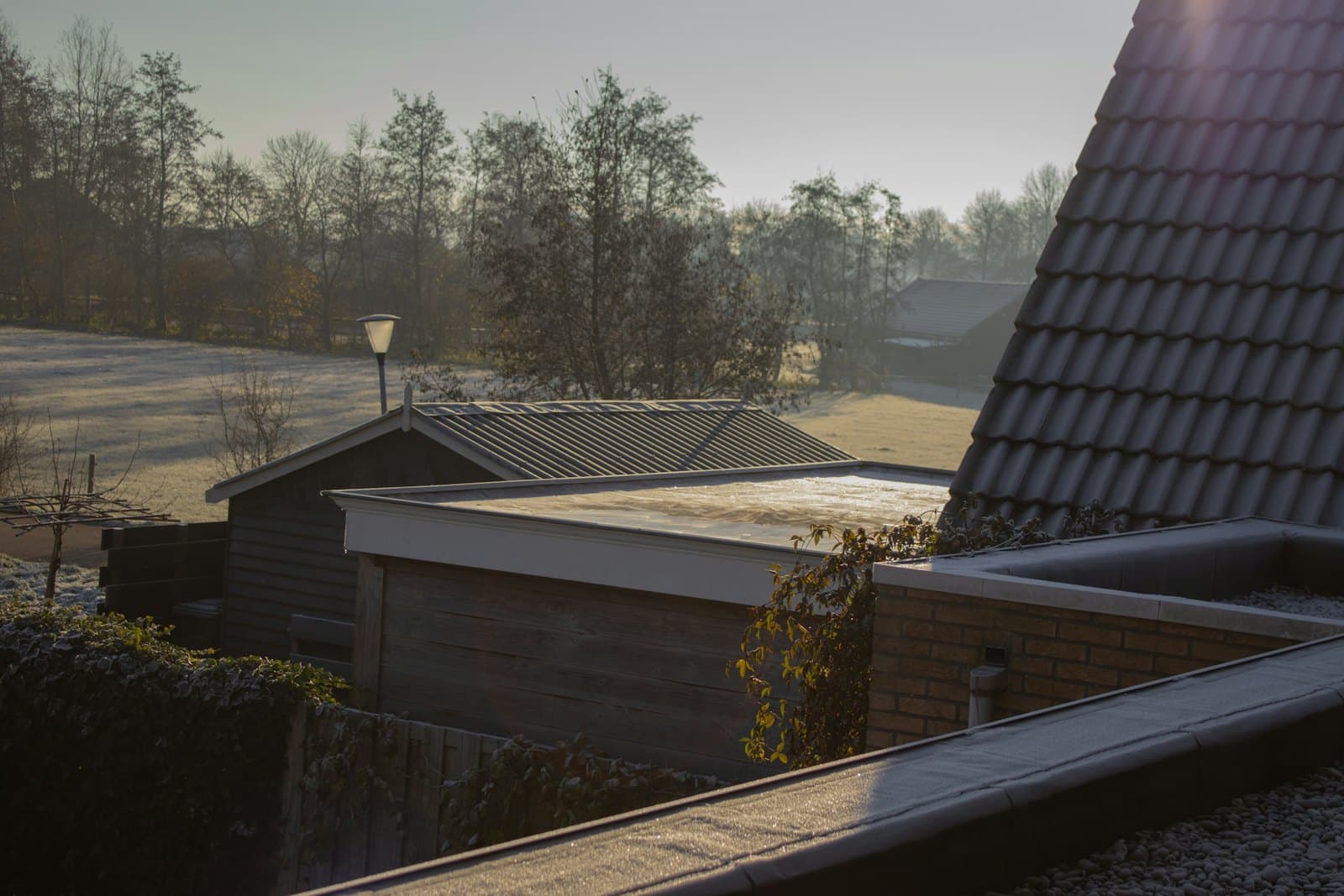 Plat dak van een aanbouw met een laagje water erop, gezien vanaf het pannendak van een Nederlandse woning
